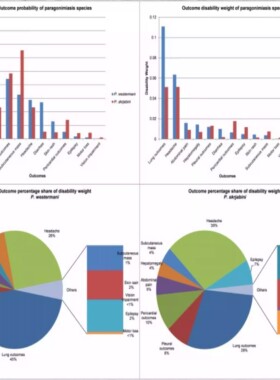 GBD数据库分析 选题思路医学sci发文 GBD全球疾病负担数据