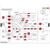 网络药理学 GO富集 KEGG富集 一对一代做 富集分析