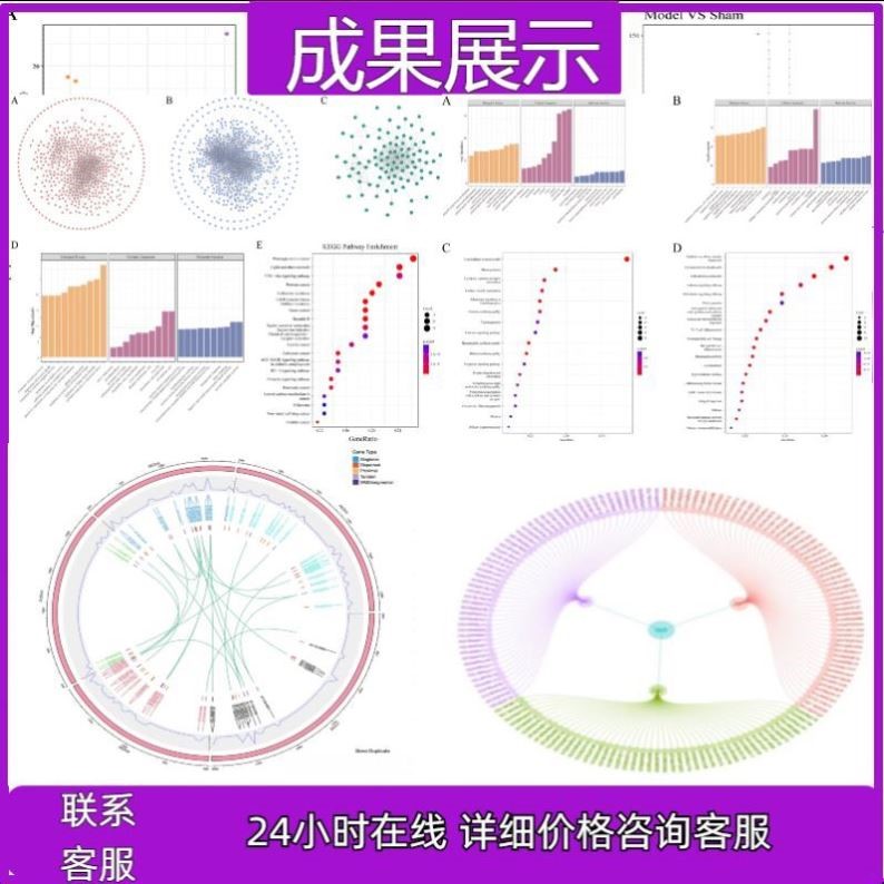 转录组TCGA GEO数据库挖掘分析服务