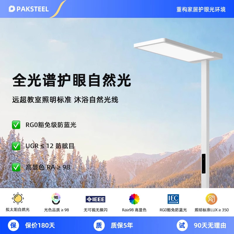 PAKSTEEL护眼B5大路灯儿童书桌学习专用阅读全光谱落地灯