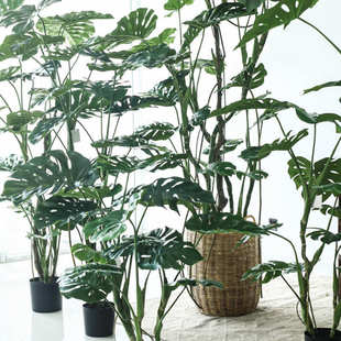 龟背竹假绿植盆栽装饰大型绿植仿真树室内造景楼梯酒店餐厅会所