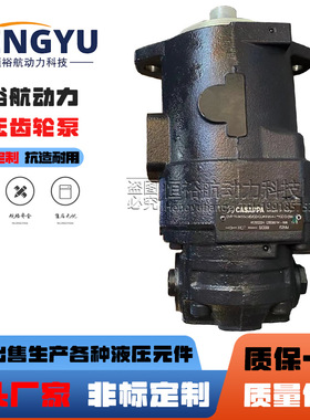 凯斯帕主泵油泵CASAPPA齿轮泵DVP11-04S5-LMD/GD-GD/KP20.4液压泵