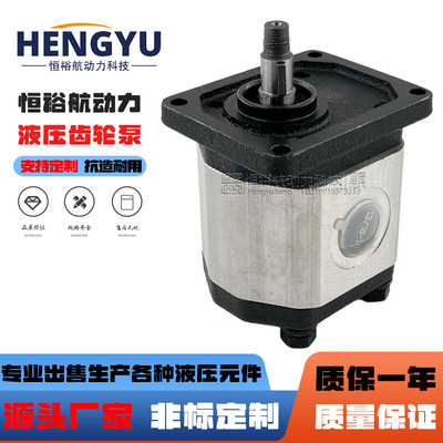 迪普马DUPLOMATIC齿轮泵GP2-0113R97F/20N GP1-0020L97F/20液压泵