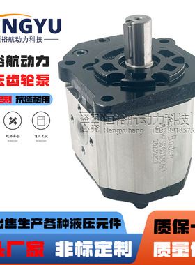 博顿油泵Boden齿轮泵BHP3B0 BHP3B1 BHP3A0 BHP3A1 BHM3B1液压泵