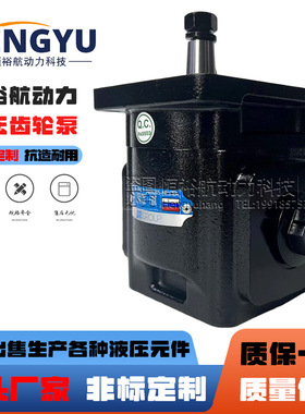 Hengyuhang铸铁液压泵布雷维尼油泵brevini齿轮泵OT20HP14D/G28P2