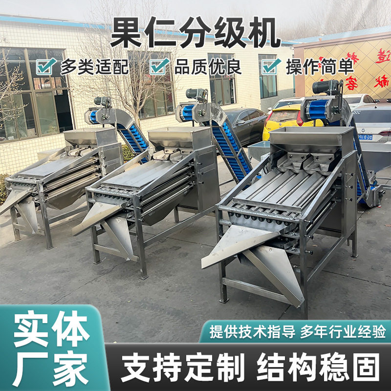 果仁分级机全自动不锈钢坚果分选机核桃杏仁腰果大小筛选机