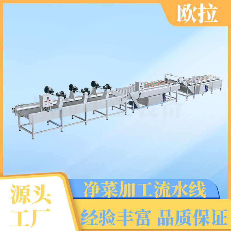全自动酸菜清洗机喷淋式不锈钢蔬菜清洗设备腌豆角气泡清洗机