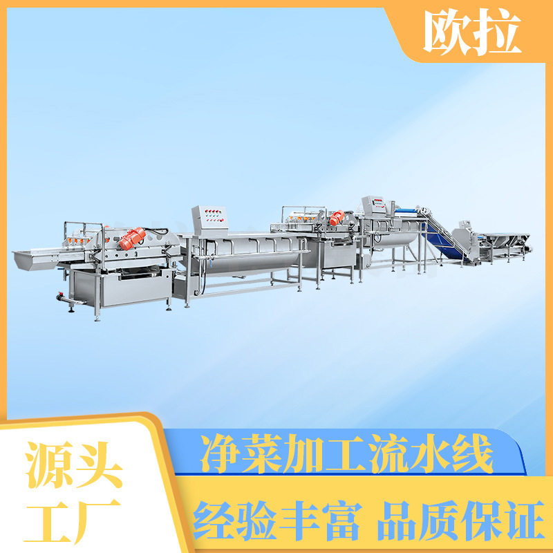 茄子高压喷淋清洗流水线商用全自动洗菜机鱼虾海鲜气泡清洗机