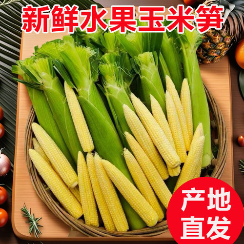 新鲜现摘现发新鲜玉米笋