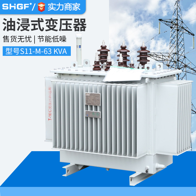 S11油浸式变压器高压三相 S13-200-250-315-630KVA电力变压器10kv