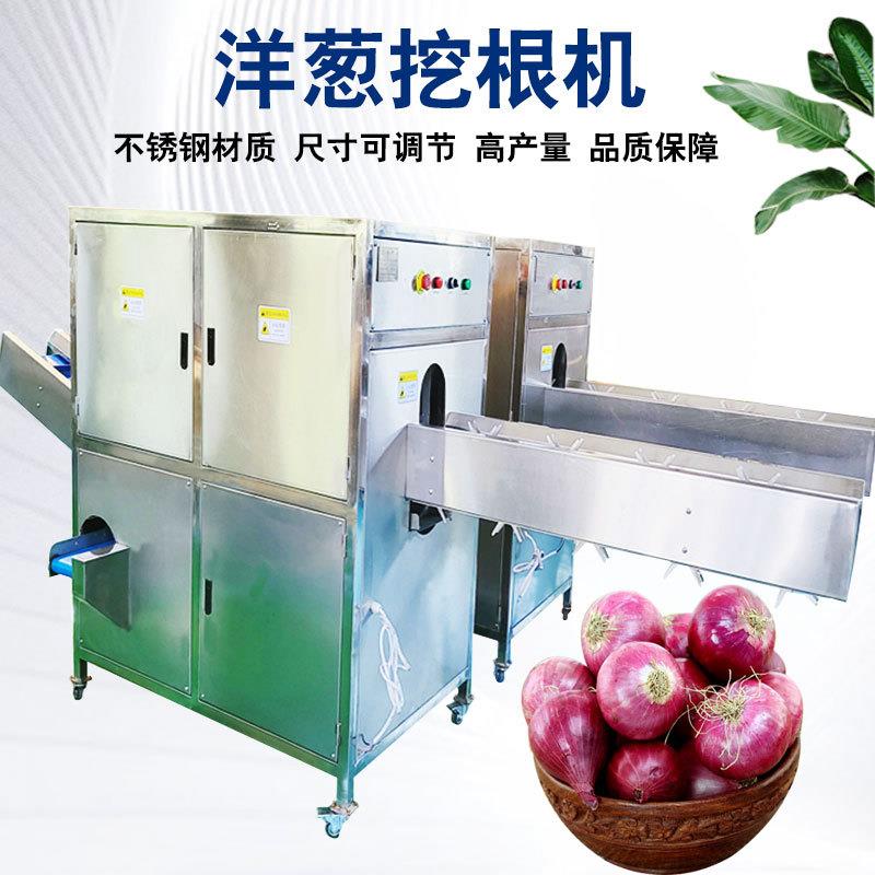 洋葱挖根机商用双头挖根无损耗洋葱酥生产线高产量洋葱去头尾设备