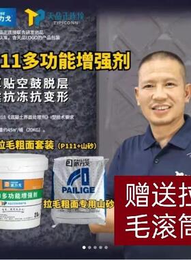 派力戈P111多功能增强剂 瓷砖拉毛乳液 水泥厚贴不掉砖非背胶