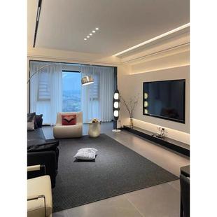 2024新款黑色高级感轻奢极简客厅地毯沙发地垫防水防污免洗可擦洗