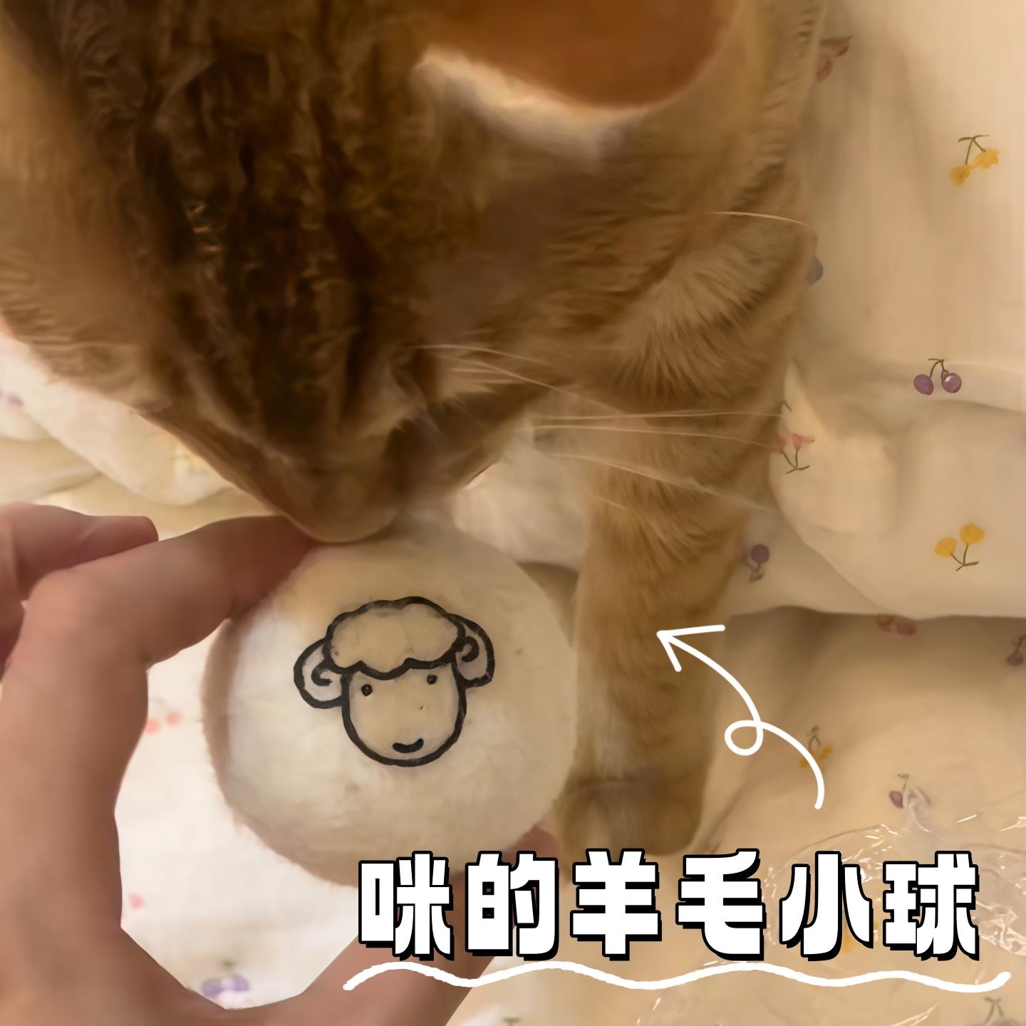 猫玩具球自嗨解闷神器消耗体力宠物玩具猫咪用品大全逗猫棒小毛球