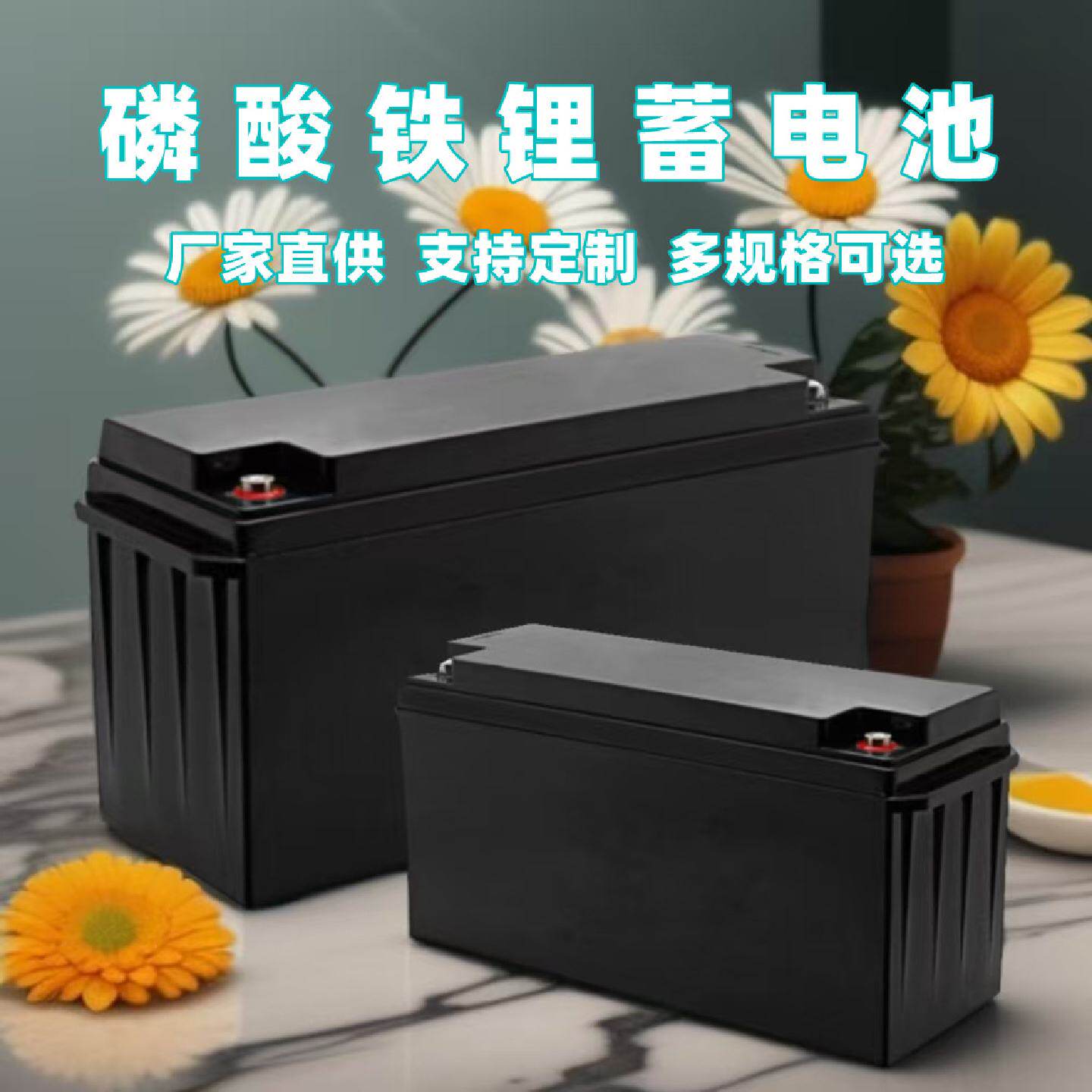太阳能发电系统家用储能离网供电磷酸铁锂储能蓄电池100/200A