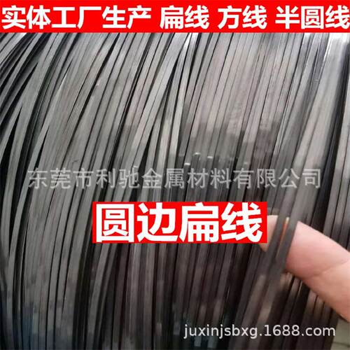 专业生产0.3*1.0mm碳钢数据线扁线0.2*2.5mm不锈钢扁丝胸围线