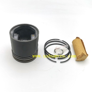 STDSTC2982ERR2410A350973 現貨直發活塞300TDI
