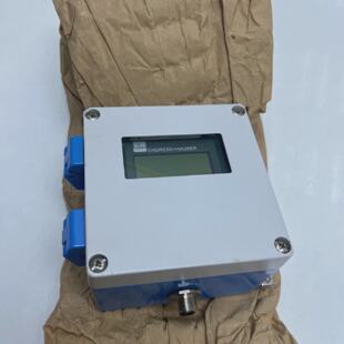 Endress  Hauser Display FHX4011A Neu ohne Karton