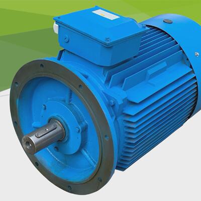 EFF2 12BA280M4 110kW motore elettrico trifase