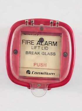 Punto Di Chiamata Manuale Consilium Salwico Lk2