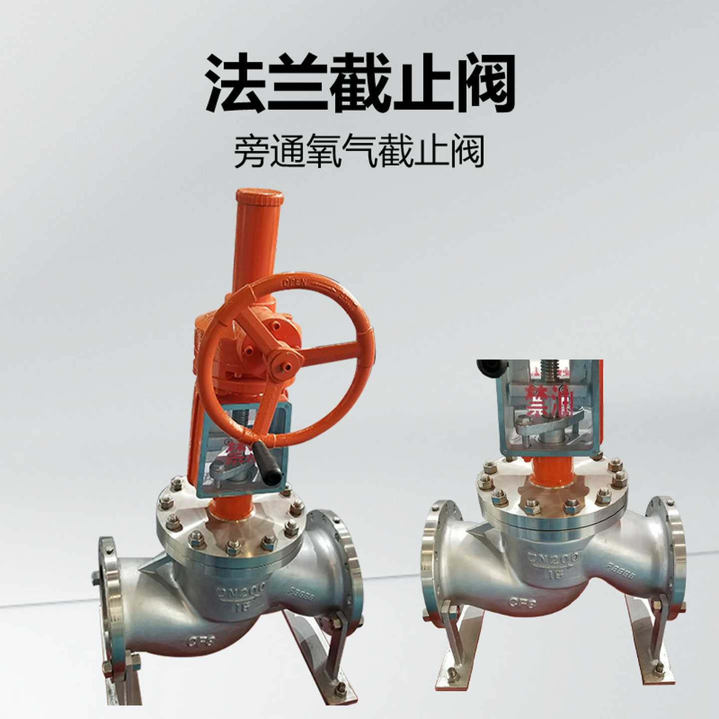 FLUKE/福禄克xF362/CN交直流钳表小巧轻便200A600V仪器仪表