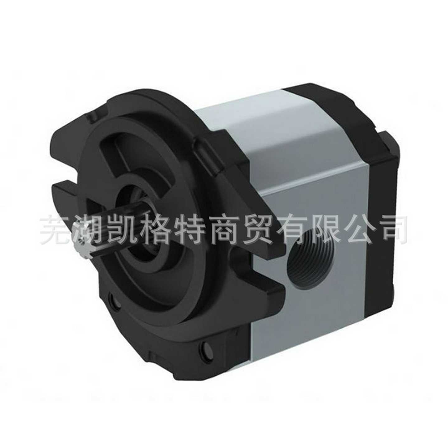 供应赛特玛高压齿轮泵G47C028gF3C90D