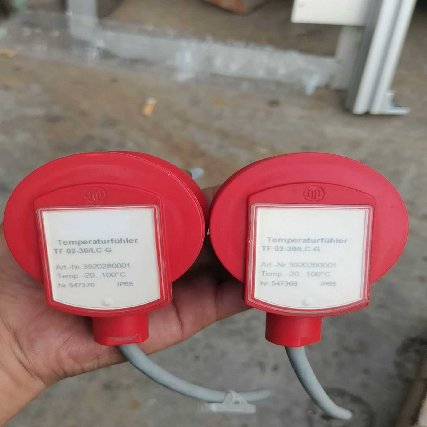 mazurczak温度探头温度传感器TF-02-30/LC--议价