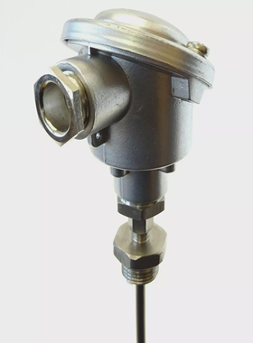 GNTHER20-TOMMantelthermoelementmitAnschlusskopfBEdels