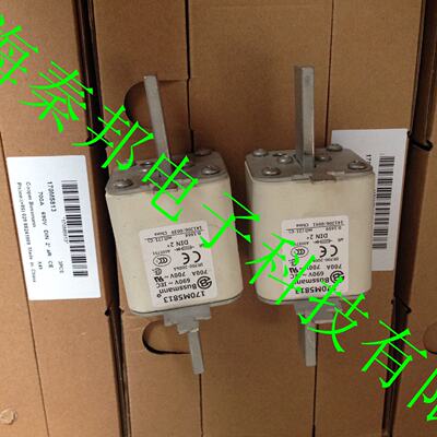 170M5929170M5930美国EATON伊顿bussmann熔断器