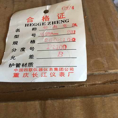 (工仔机械）重庆长江 WZP-231 250x100 PT100