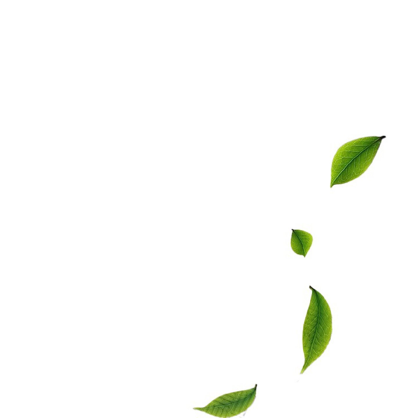 跑步机隔音减震垫楼层专业家用室内防震专用防滑加厚超静音地垫子