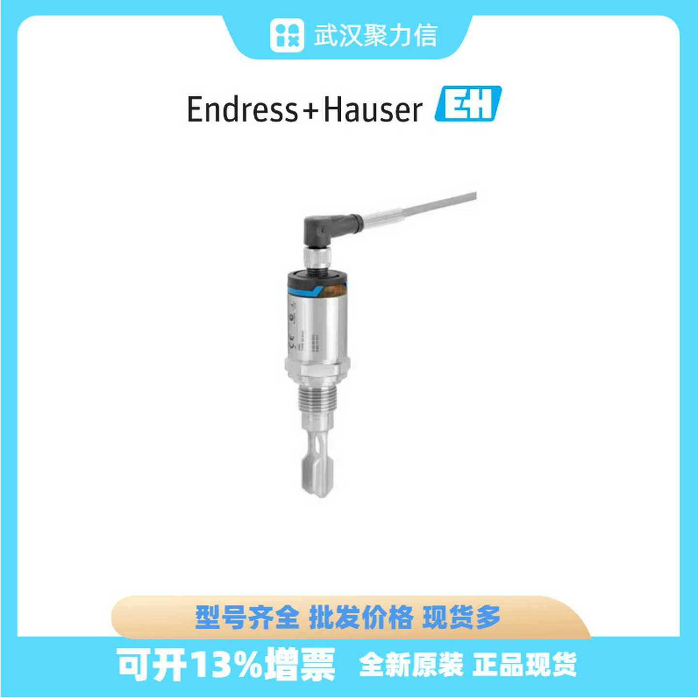 EmH恩德斯豪斯现货FTL31-1102/0音叉液位开关FTL31-AA4M2AAWB