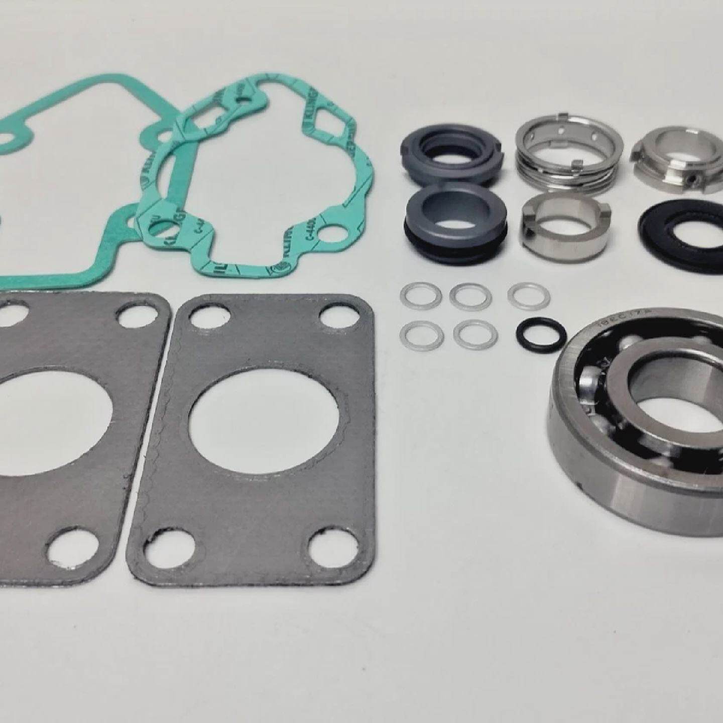 Kit De Reparacin IMO Pump ACE 038N3L3K3 NTBP G053 Menor  NUE - 实物图