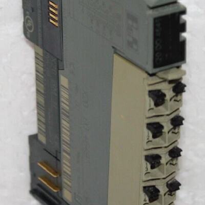 BR X20DO4649 4 Digital Outputs 30 VDC  240 VAC Outputs Singl