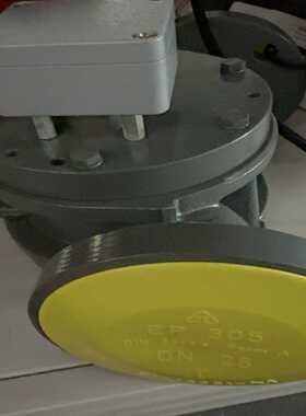 询价~EP305 DIN3443 Form A 阀门DN25，实物