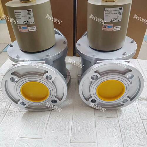 询-SG65FQ220SG65F02NT33施能电磁阀SG8