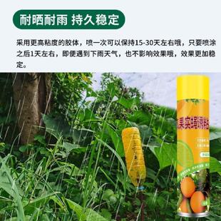 瓜果实蝇诱粘剂果蝇诱捕剂神器菜园果园果树杀虫剂灭针蜂药引诱剂