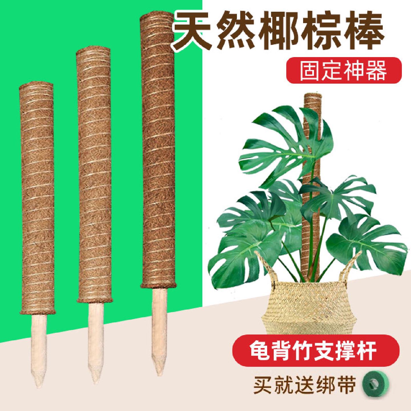 龟背竹支撑杆架子绿萝椰棕棒爬藤杆水苔棕榈柱棍植物固定神器造型