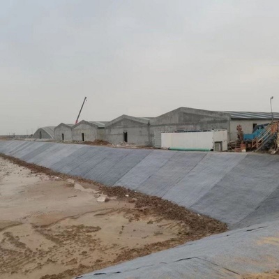 水泥毯浇水固化鱼塘护坡铺路河道沟渠基坑防护新型混凝土固土毯布