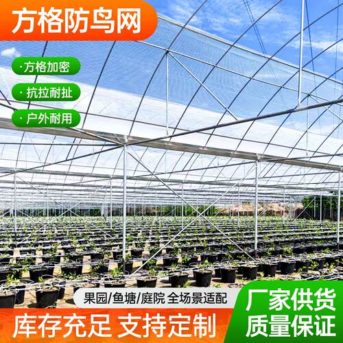 大棚通风口防鸟网蓝莓棚防风口专用防鸟网1.5厘米孔方格防鸟网