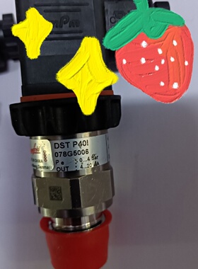 议价DSTP40I078G5006压力变送器04b议价