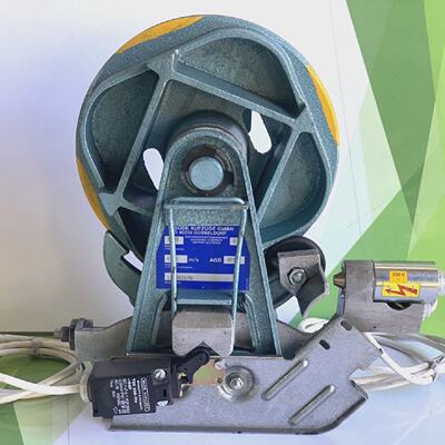 BODE 8 limitatore di velocit tipo 8 con scattoripristino rem