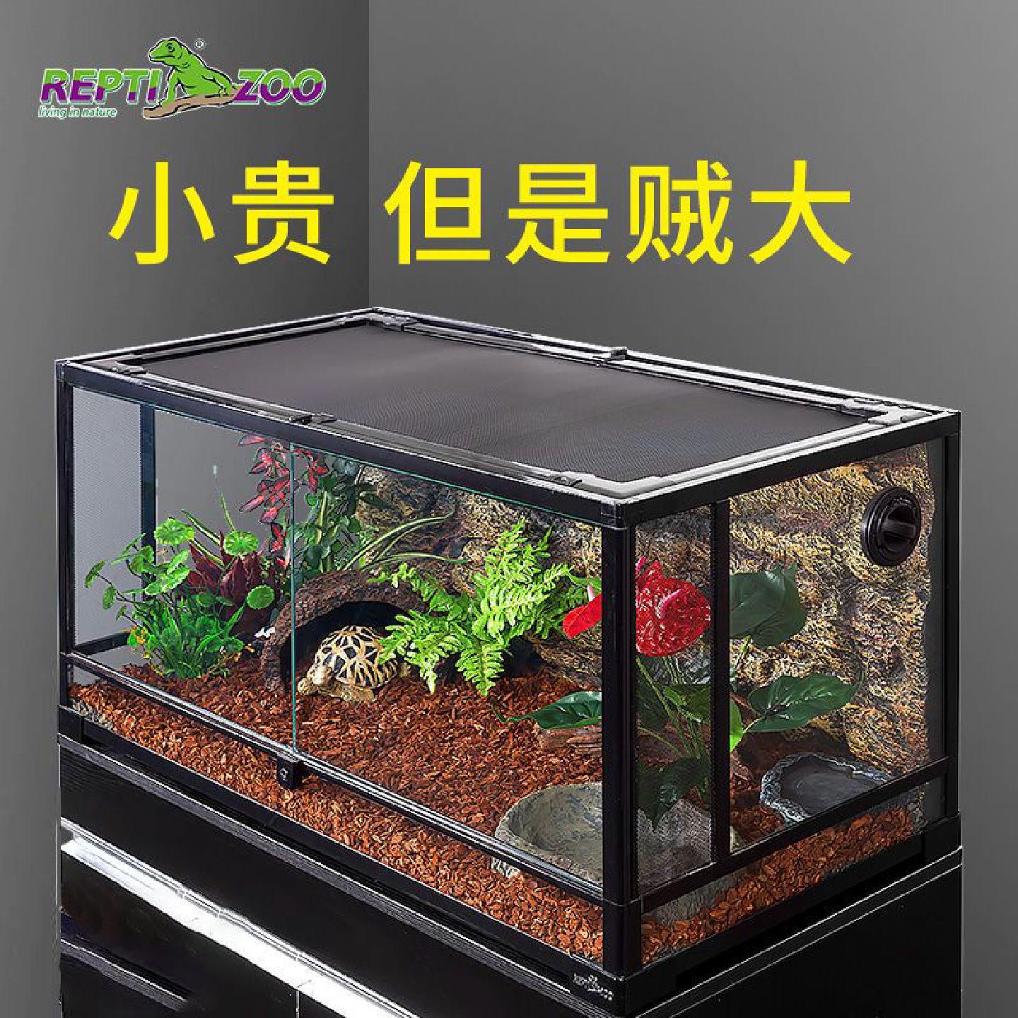 爬虫箱蜥蜴爬宠饲养箱陆龟箱爬箱守宫角蛙刺猬蛇玻璃缸