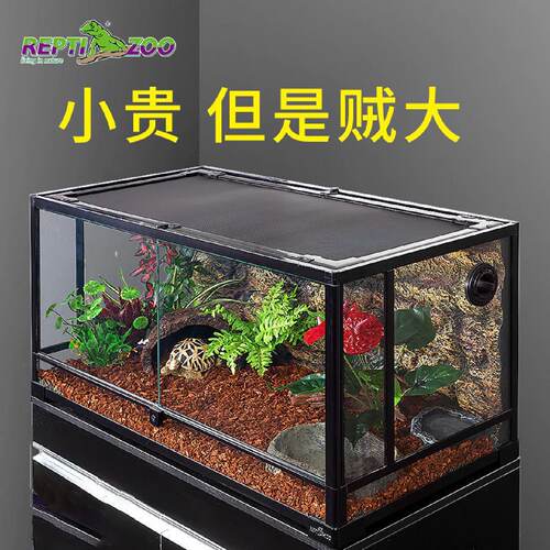 爬虫箱蜥蜴爬宠饲养箱陆龟箱爬箱守宫角蛙刺猬蛇玻璃缸