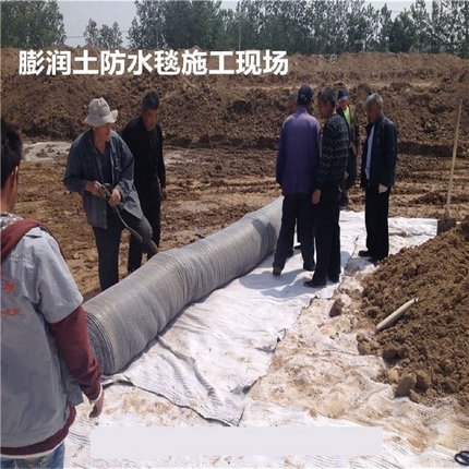 GCL钠基膨润土防水毯3000g4000g5000g膨润土防水毯厂家直销