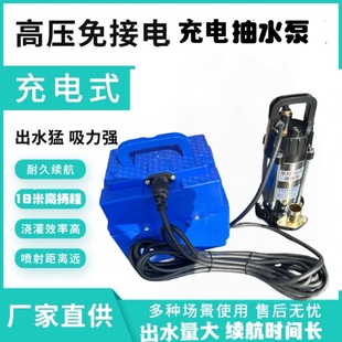 水泵家用抽水浇菜12v24v大功率花园便携式 潜水泵充电式 户外
