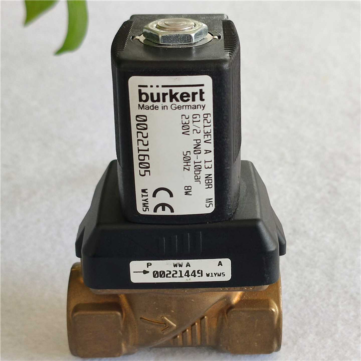 buLrkert6213EVA13.0NBRG1/2230V宝德电磁阀621300221605