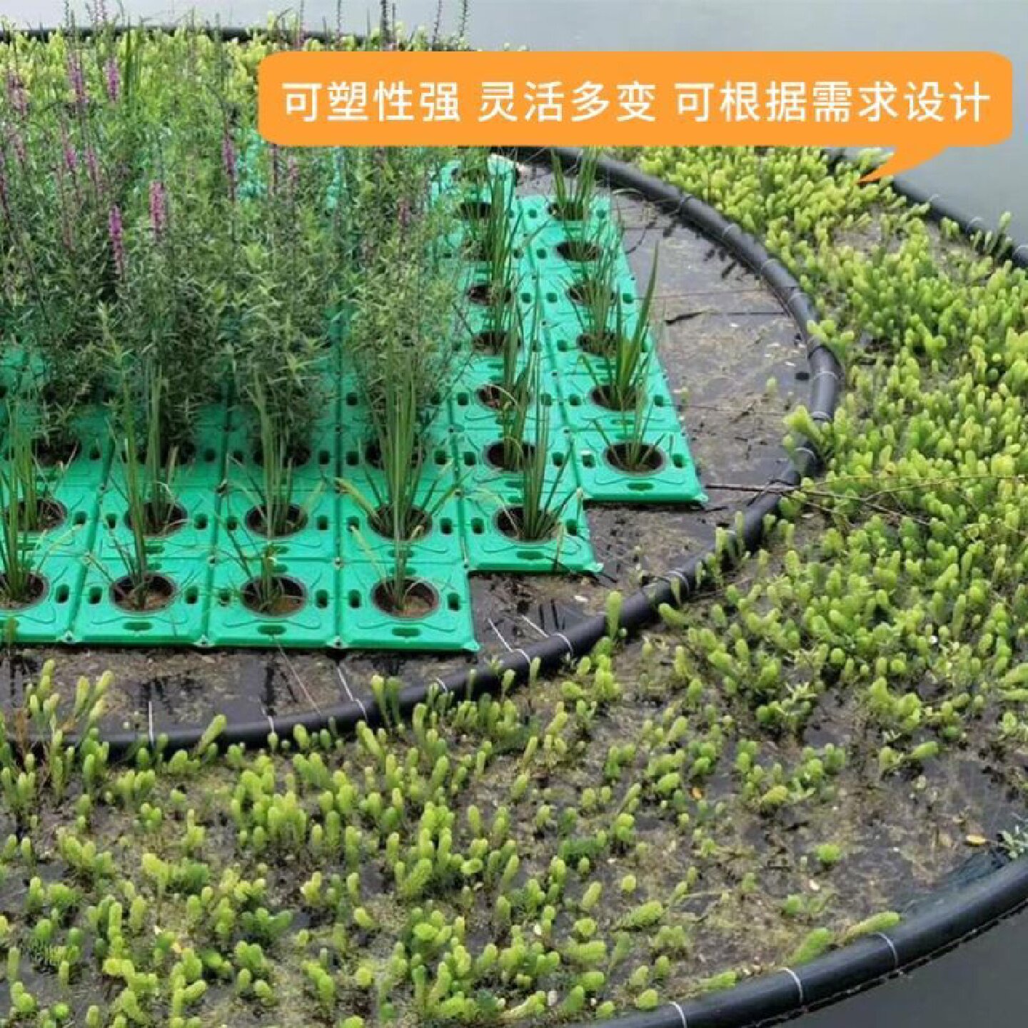 生态浮岛水上种植人工生态浮床浮岛水生植物绿化造景河道水面景观