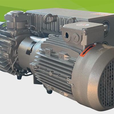 BUSCH RA 0063 F 503 pompa per vuoto  MS2 100L14 B14 motore