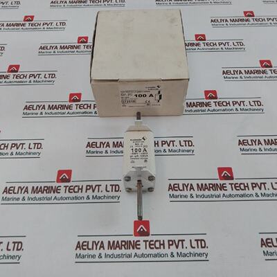 M.Schneider NH2 Eurofuse GLGG 120 KA 500V 440V 100 A